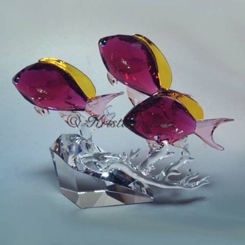 Swarovski Kristal | Crystal Paradise | Anthias Vissen Trio - Zeebaarzen | 5428652